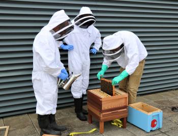Beekeepers at CRM